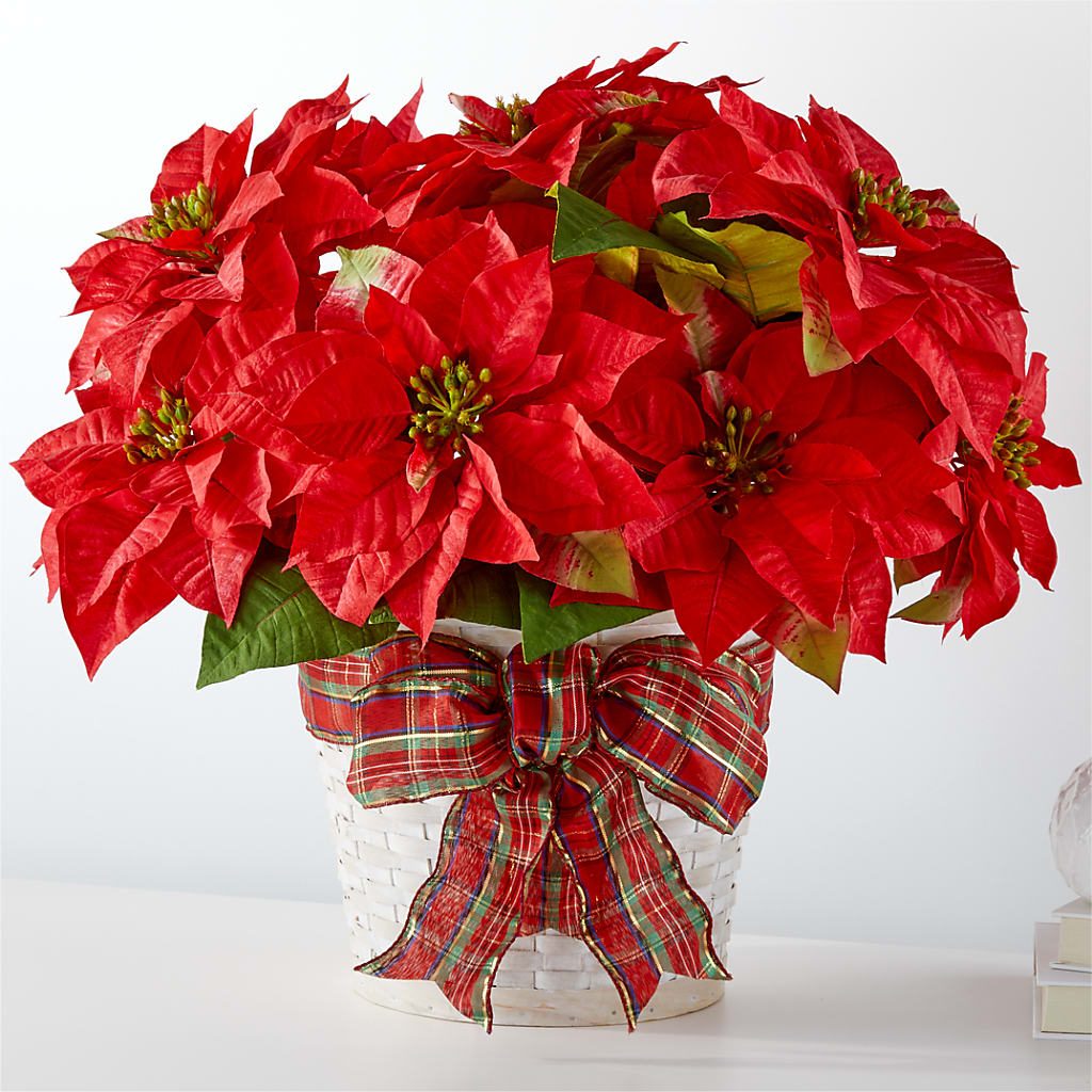 Happiest Holidays Poinsettia – Moonlight Floral, Minneapolis MN