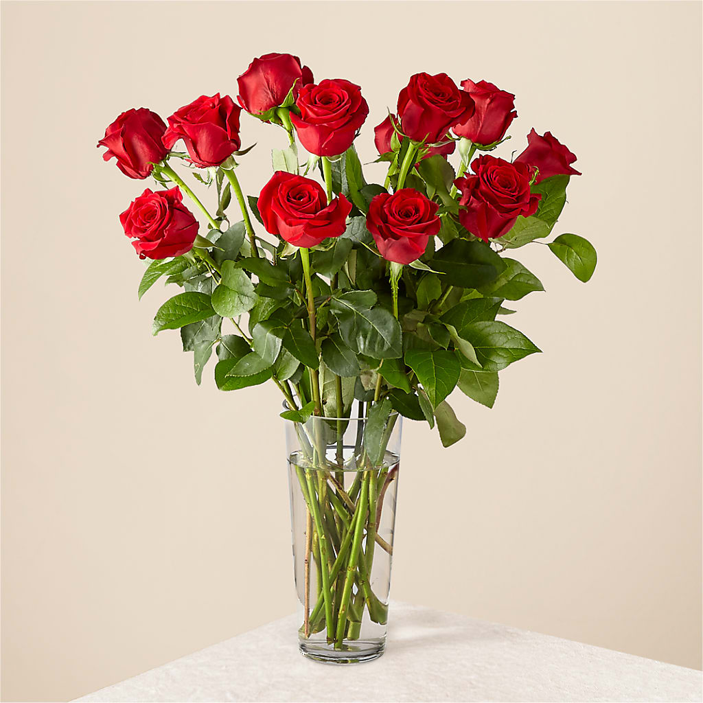 Long Stem Red Rose Bouquet – Moonlight Floral, Minneapolis MN