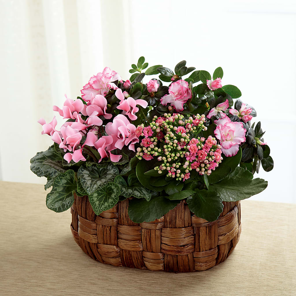 Pink Assortment – Moonlight Floral, Minneapolis MN