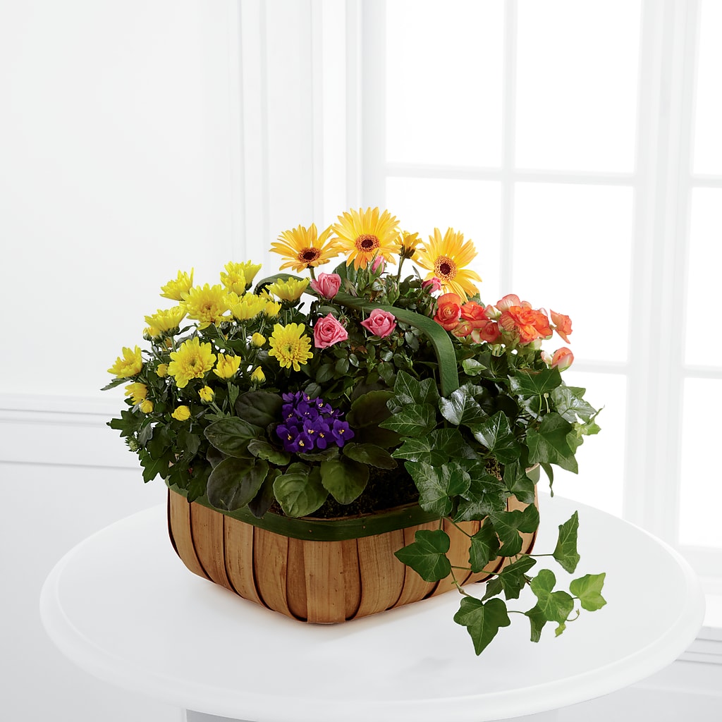Gentle Blossoms Basket – Moonlight Floral, Minneapolis MN