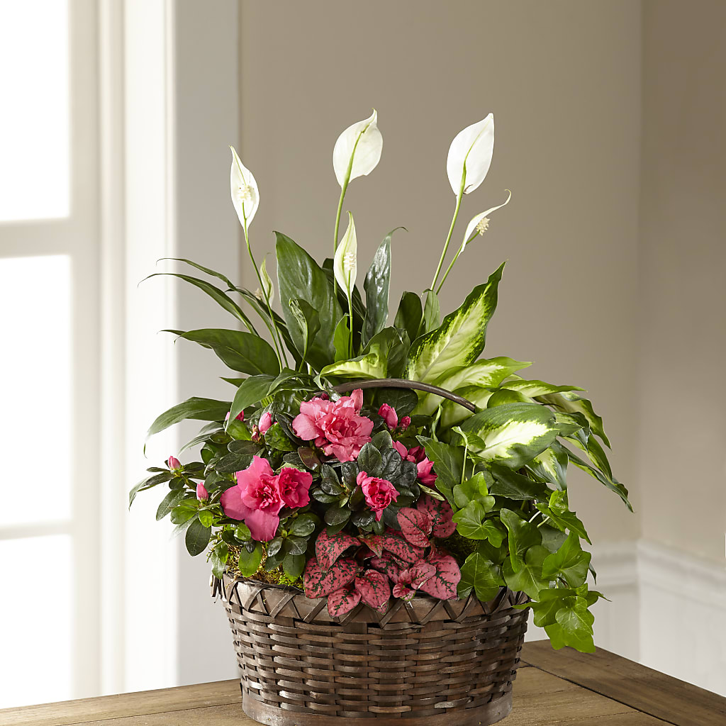 Dream in Pink Dishgarden – Moonlight Floral, Minneapolis MN