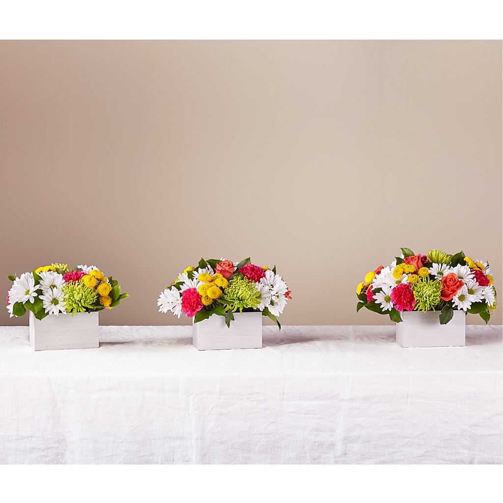 Sorbet Bouquet – Moonlight Floral, Minneapolis MN