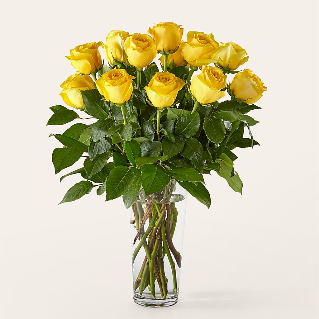 Long Stem Yellow Rose Bouquet – Moonlight Floral, Minneapolis MN
