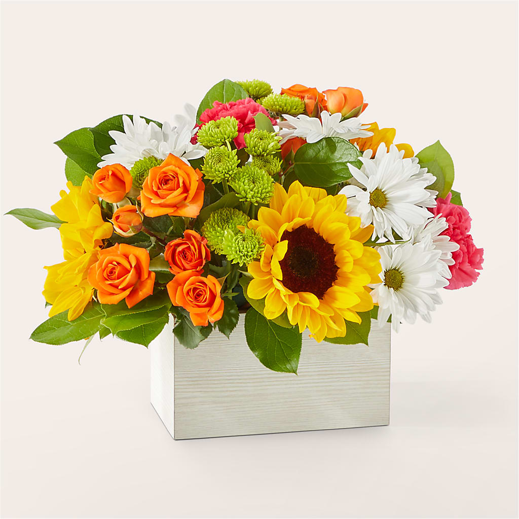 Sun-drenched Blooms Box Bouquet – Moonlight Floral, Minneapolis MN