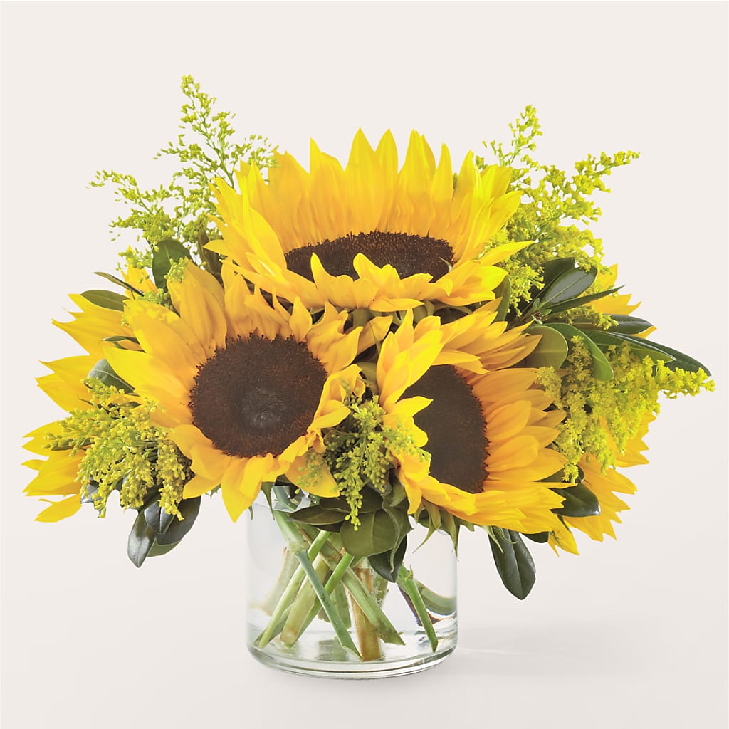 Beaming Sunflower Bouquet – Moonlight Floral, Minneapolis MN