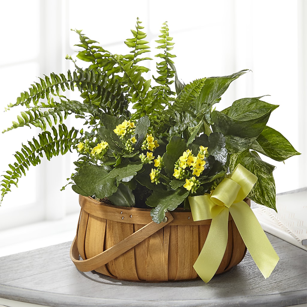 Always Dear Dishgarden – Moonlight Floral, Minneapolis MN