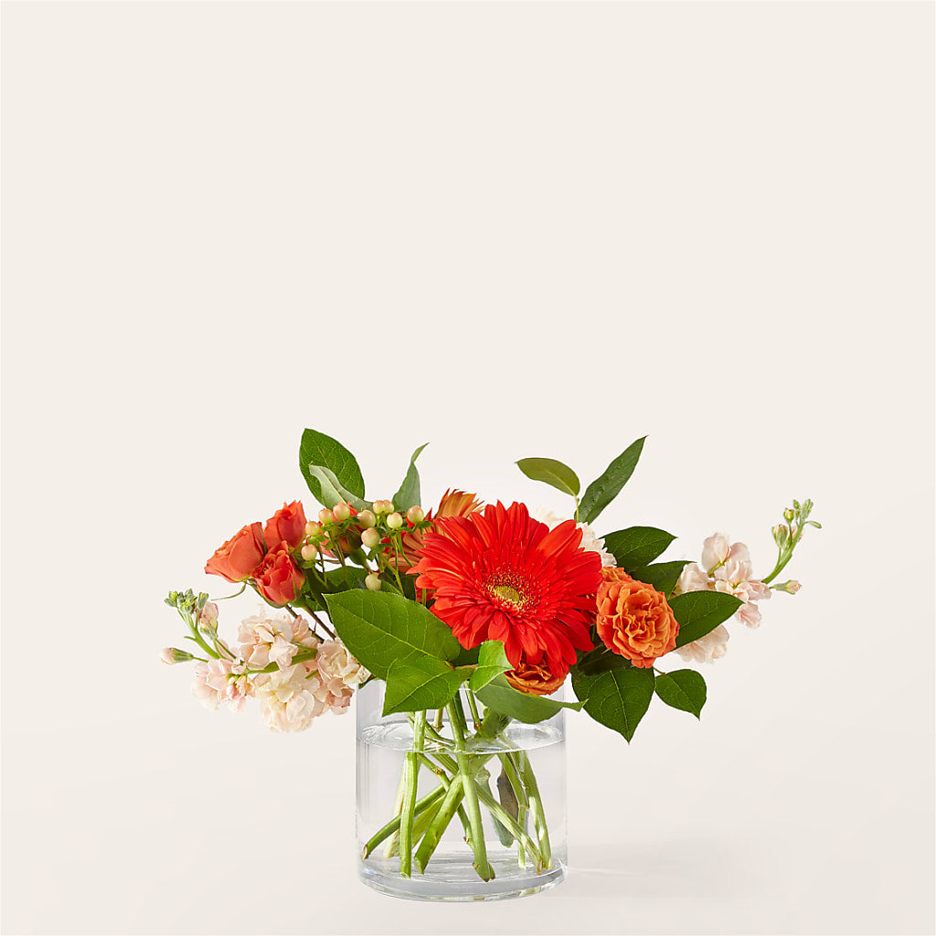 Paloma Please Bouquet – Moonlight Floral, Minneapolis MN