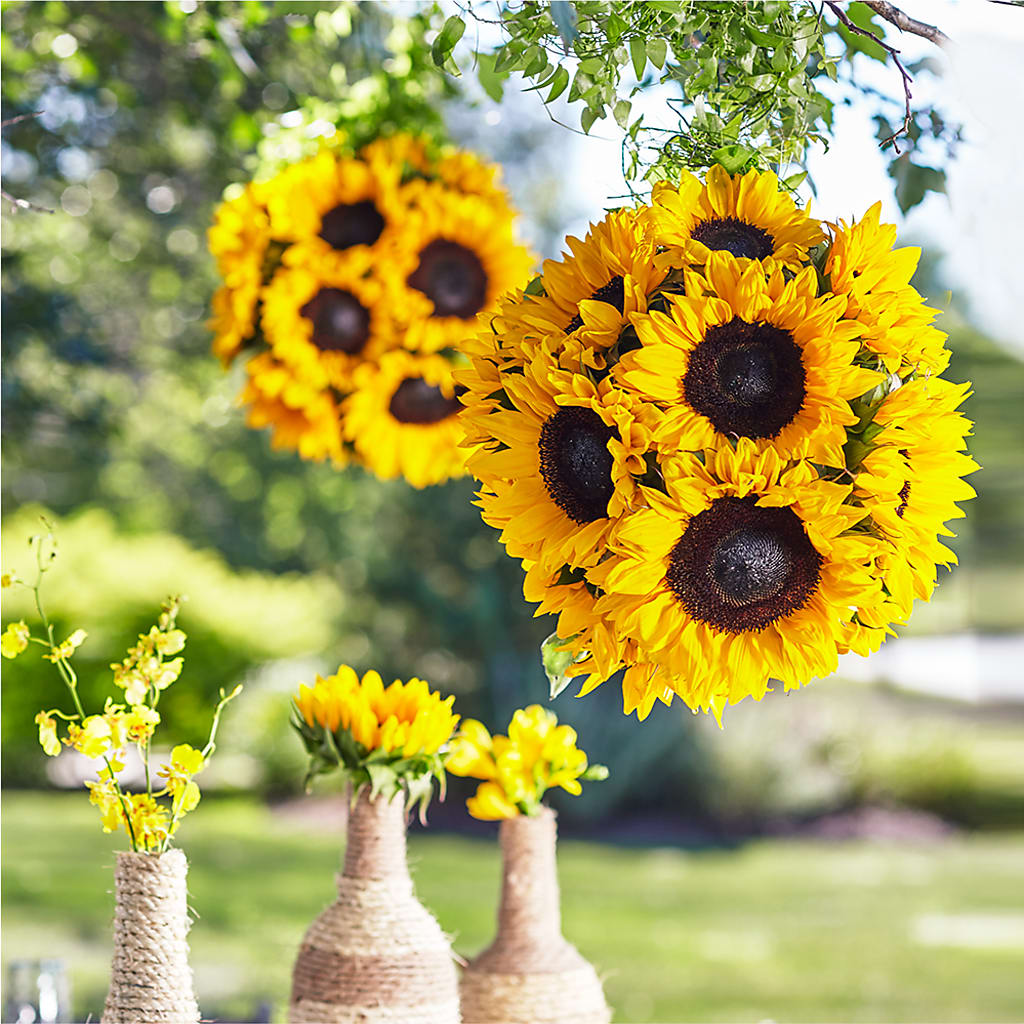 Sublime Garden Hanging Arrangement – Moonlight Floral, Minneapolis MN