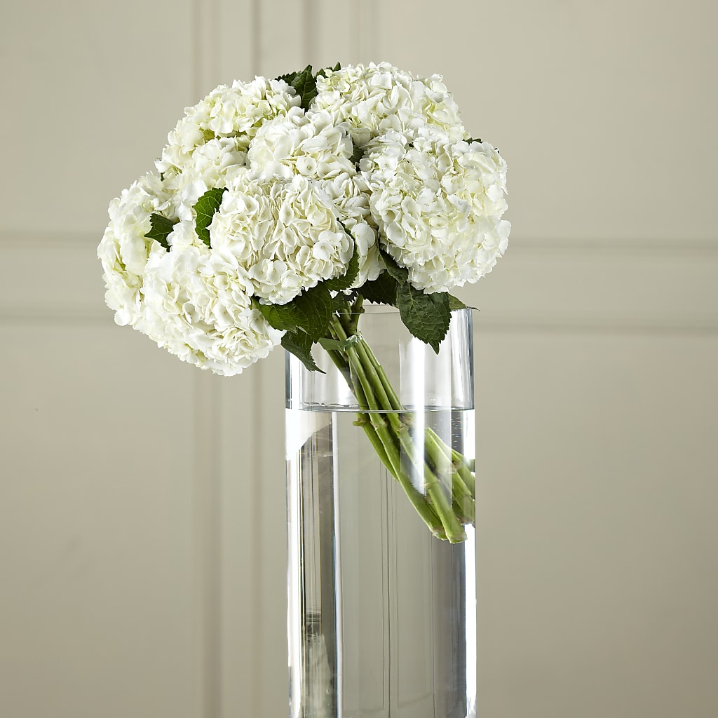White Hydrangea Hand-Tied Bouquet – Moonlight Floral, Minneapolis MN
