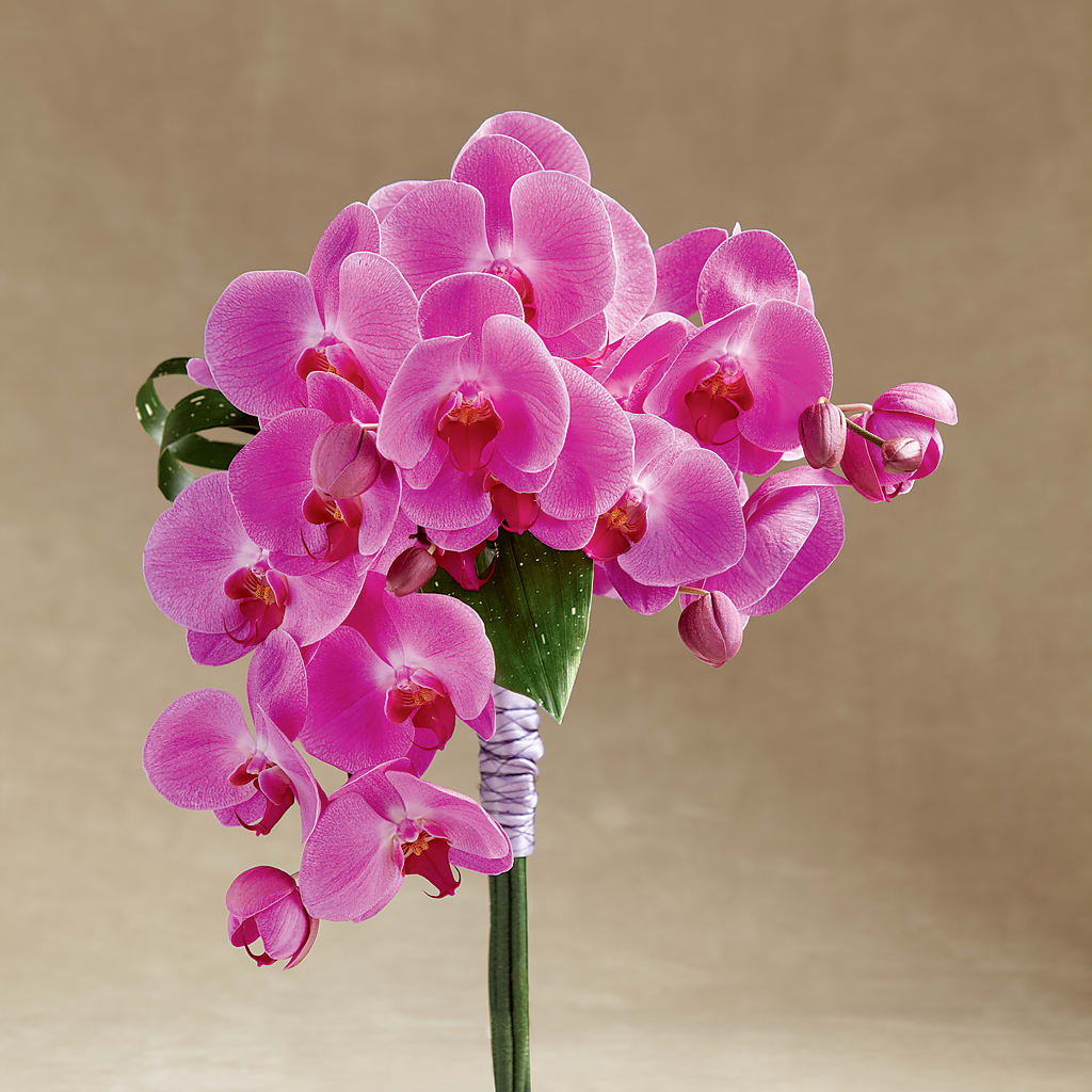 Glorious Bouquet – Moonlight Floral, Minneapolis MN