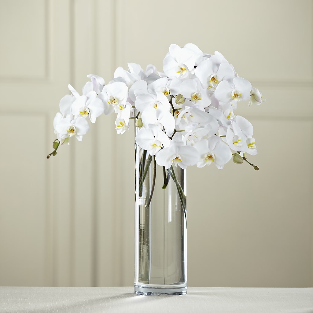 White Phalaenopsis Bouquet – Moonlight Floral, Minneapolis MN