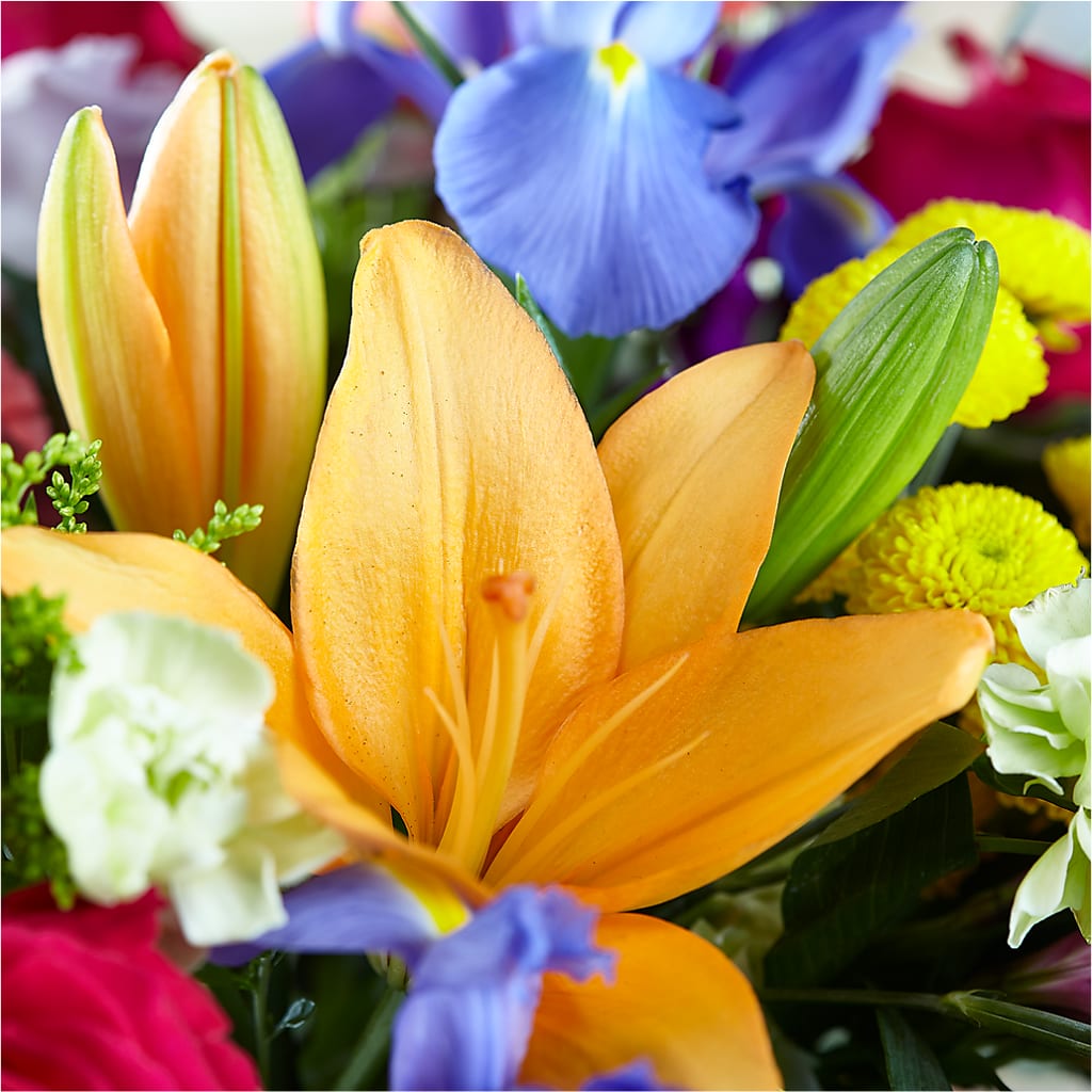 Bold & Bright – A Florist Original –  Moonlight Floral, Minneapolis MN