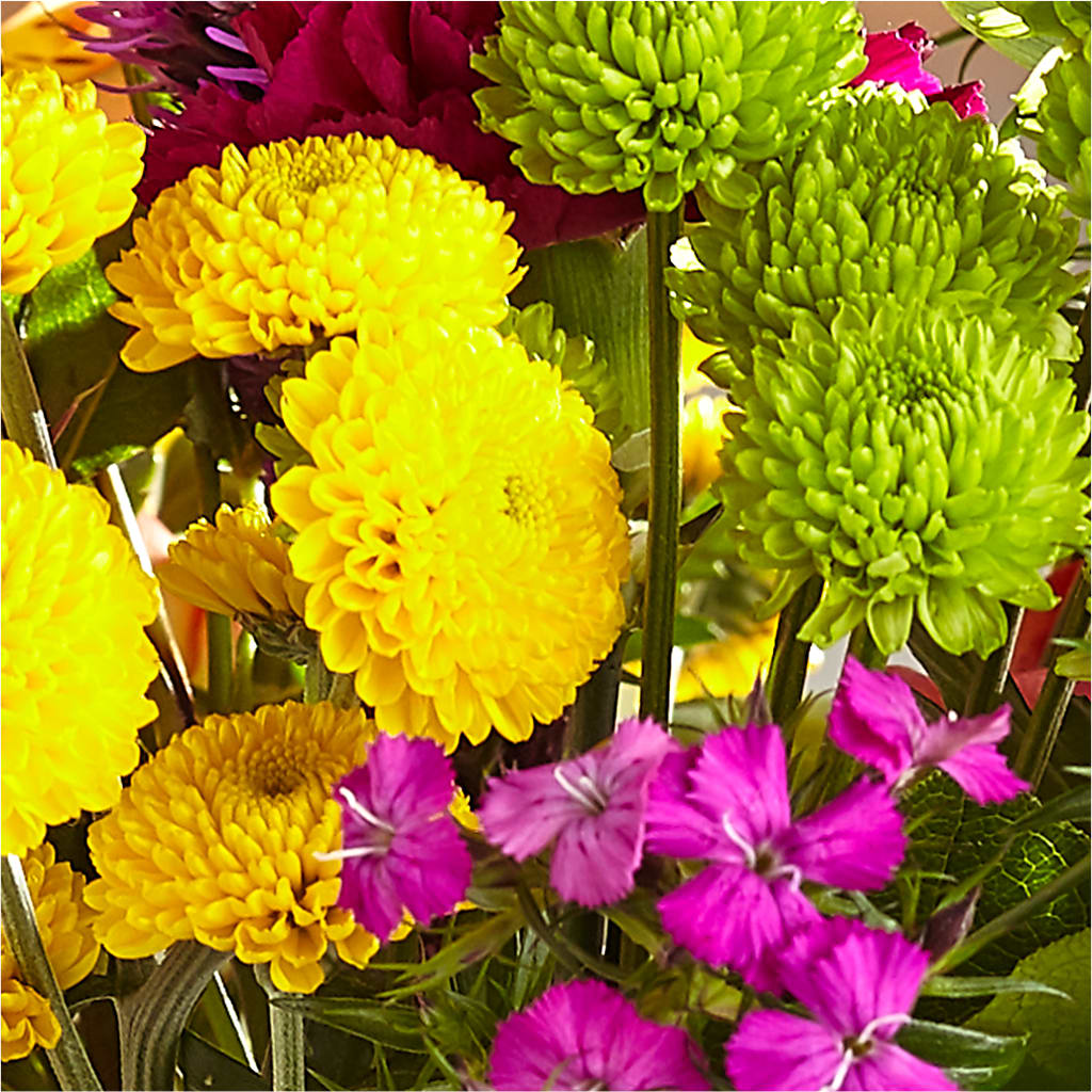 Bold & Bright – A Florist Original –  Moonlight Floral, Minneapolis MN