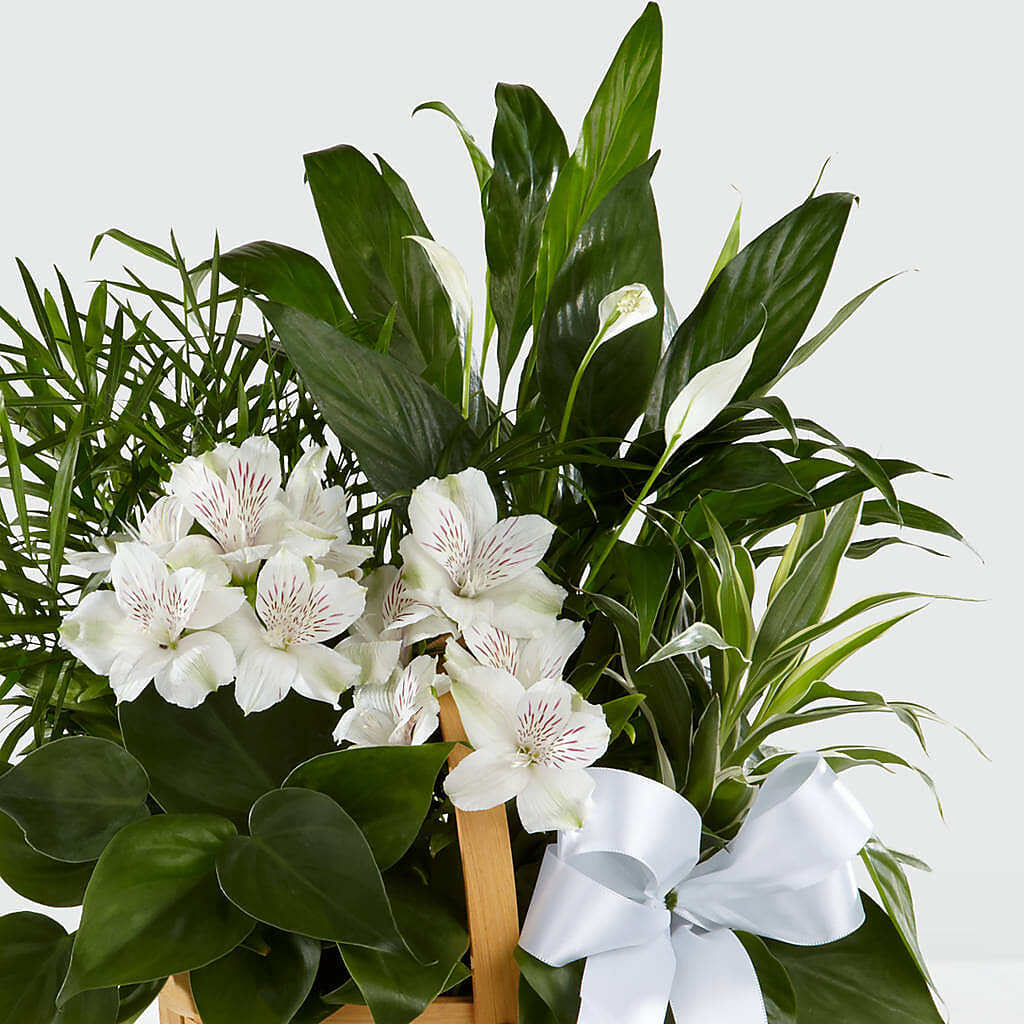 Peace & Serenity Dishgarden –  Moonlight Floral, Minneapolis MN