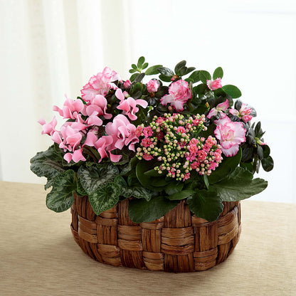 Pink Assortment –  Moonlight Floral, Minneapolis MN