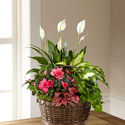 Dream in Pink Dishgarden –  Moonlight Floral, Minneapolis MN