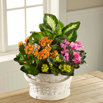 Color Crush Dishgarden –  Moonlight Floral, Minneapolis MN