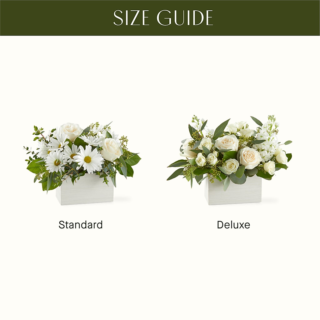 Fresh Linen Box Bouquet –  Moonlight Floral, Minneapolis MN