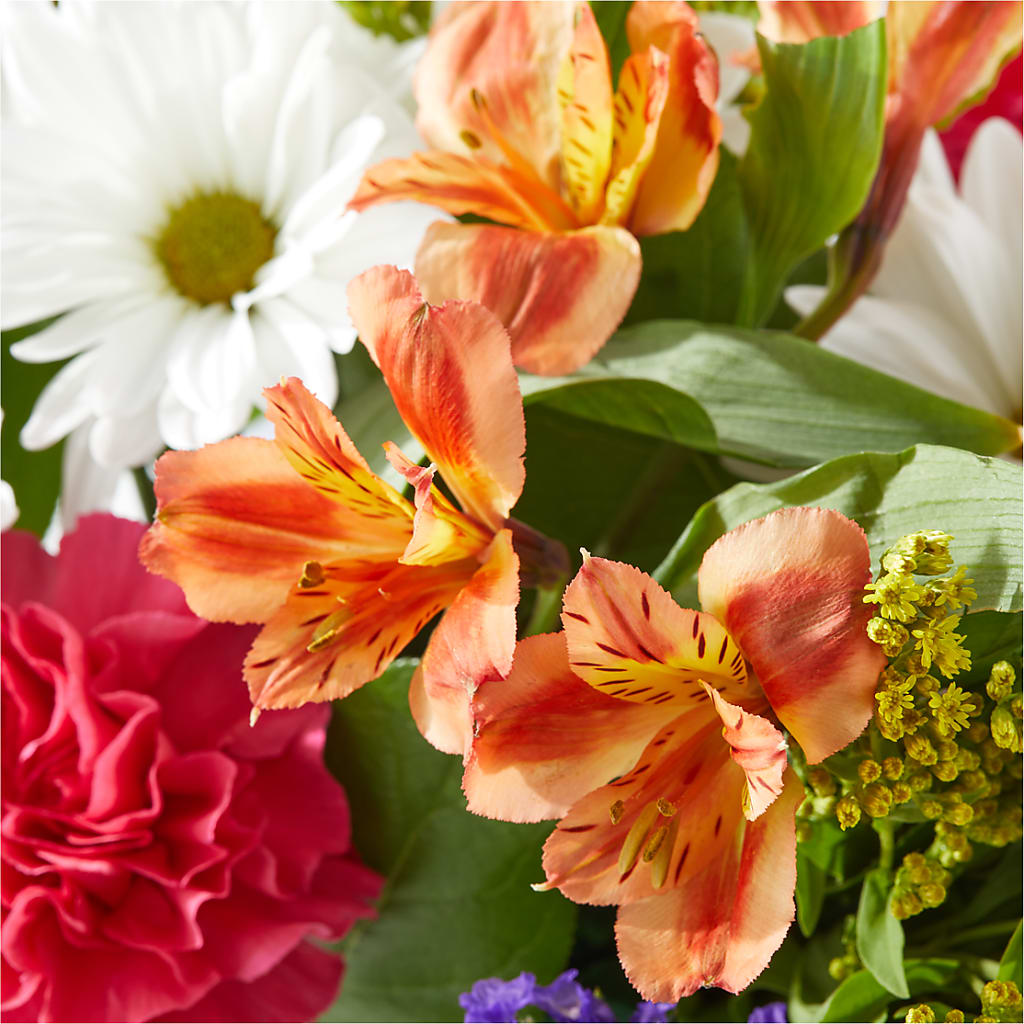 Oopsie Daisy Box Bouquet –  Moonlight Floral, Minneapolis MN