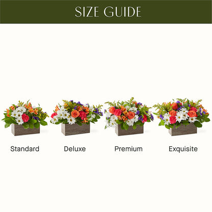 Oopsie Daisy Box Bouquet –  Moonlight Floral, Minneapolis MN