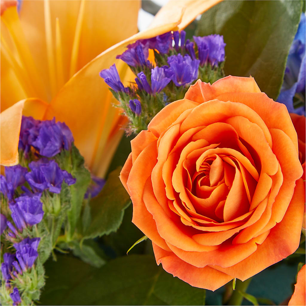 Radiant Citrus Box Bouquet –  Moonlight Floral, Minneapolis MN