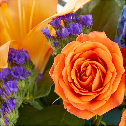 Radiant Citrus Box Bouquet –  Moonlight Floral, Minneapolis MN