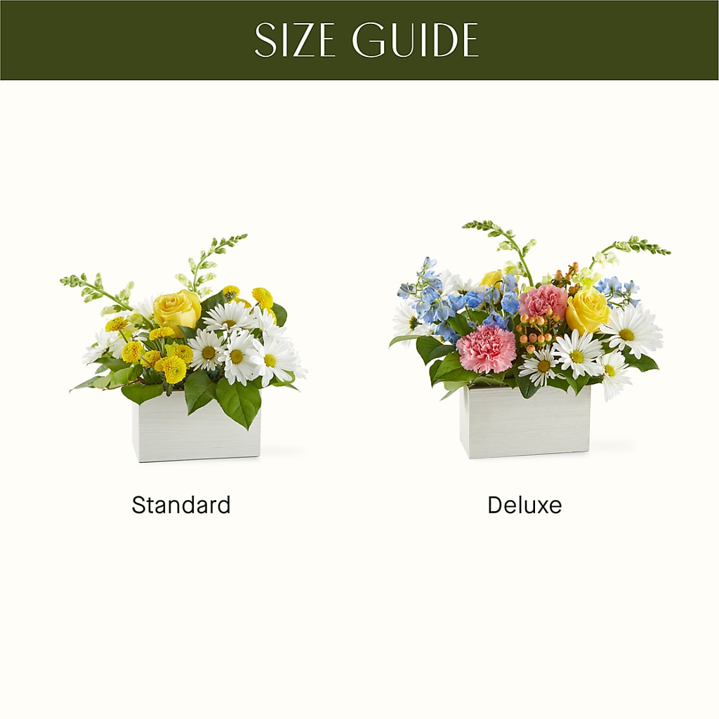 Sun Salutation Box Bouquet –  Moonlight Floral, Minneapolis MN