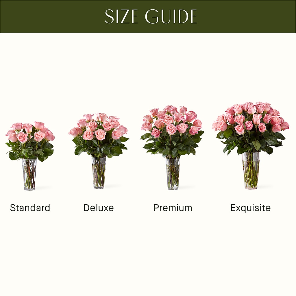 Long Stem Pink Rose Bouquet –  Moonlight Floral, Minneapolis MN
