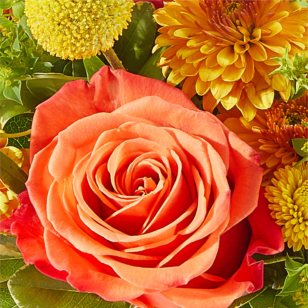 Gourdgeous Pumpkin –  Moonlight Floral, Minneapolis MN
