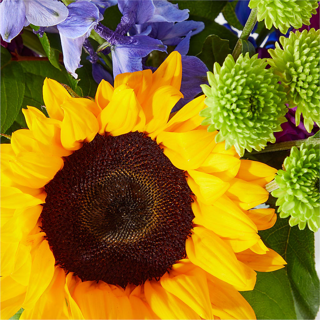 Catching Rays Bouquet –  Moonlight Floral, Minneapolis MN
