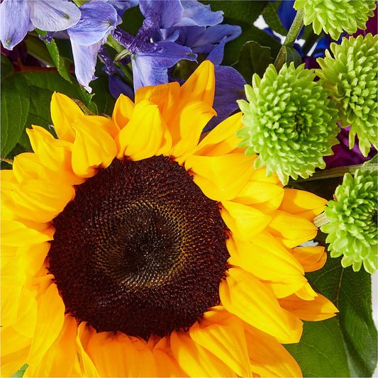 Catching Rays Bouquet –  Moonlight Floral, Minneapolis MN