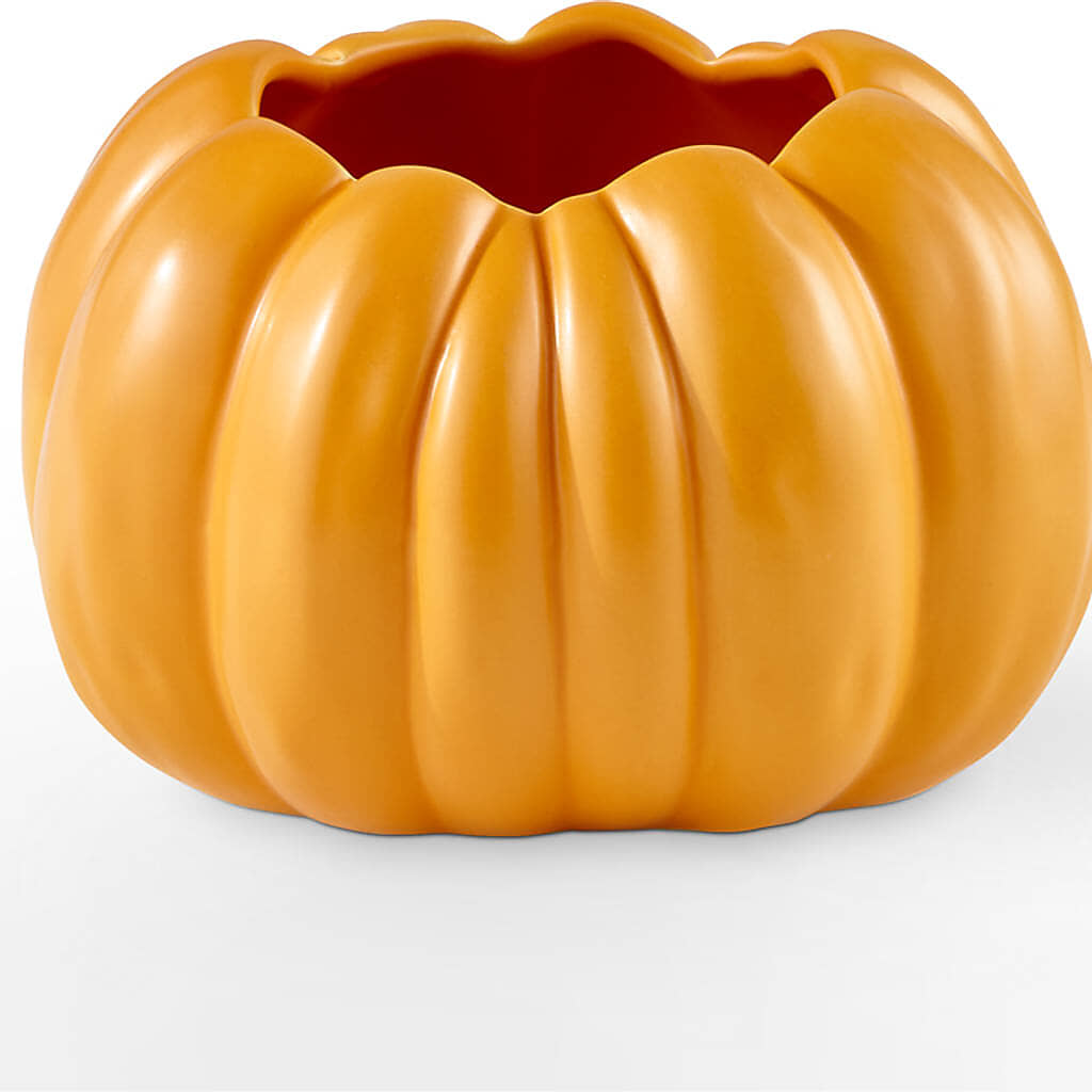 Golden Gourd Pumpkin Bouquet –  Moonlight Floral, Minneapolis MN