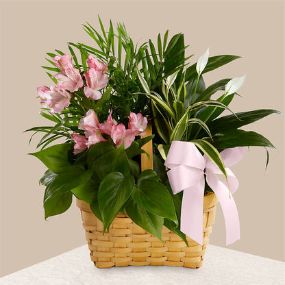Living Spirit Dishgarden –  Moonlight Floral, Minneapolis MN