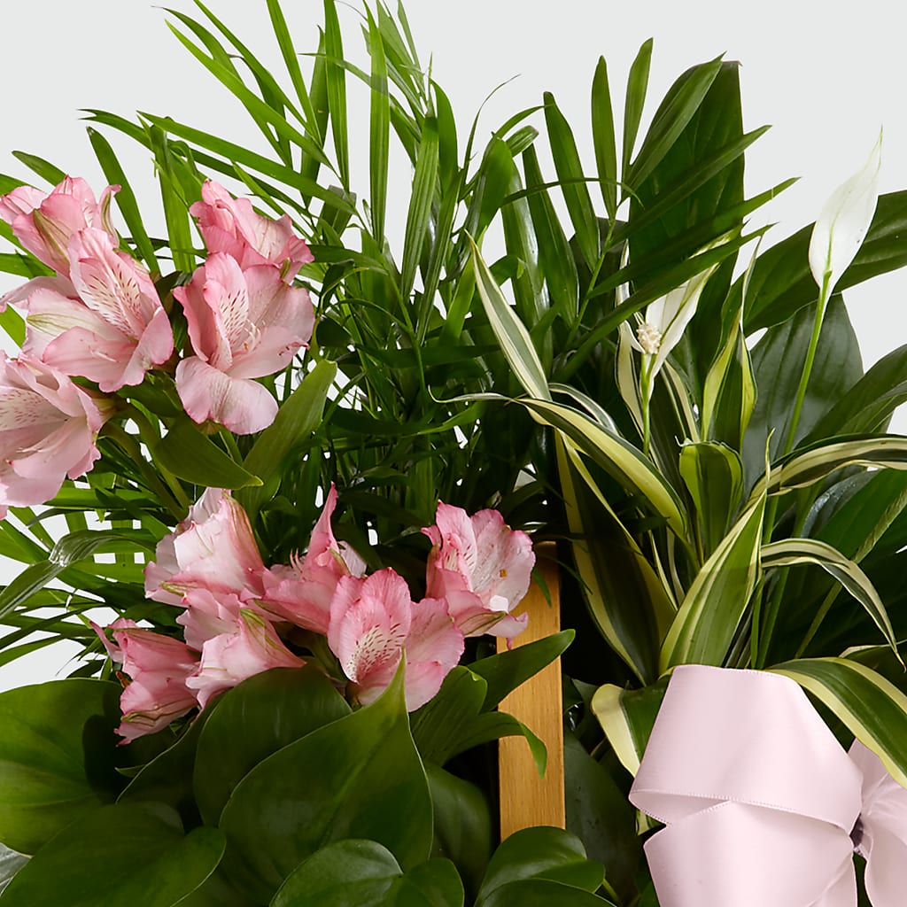 Living Spirit Dishgarden –  Moonlight Floral, Minneapolis MN