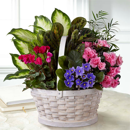 Peaceful Garden Planter –  Moonlight Floral, Minneapolis MN