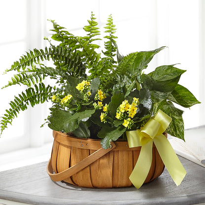 Always Dear Dishgarden –  Moonlight Floral, Minneapolis MN