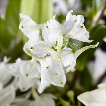 Classic Ivory – A Florist Original –  Moonlight Floral, Minneapolis MN