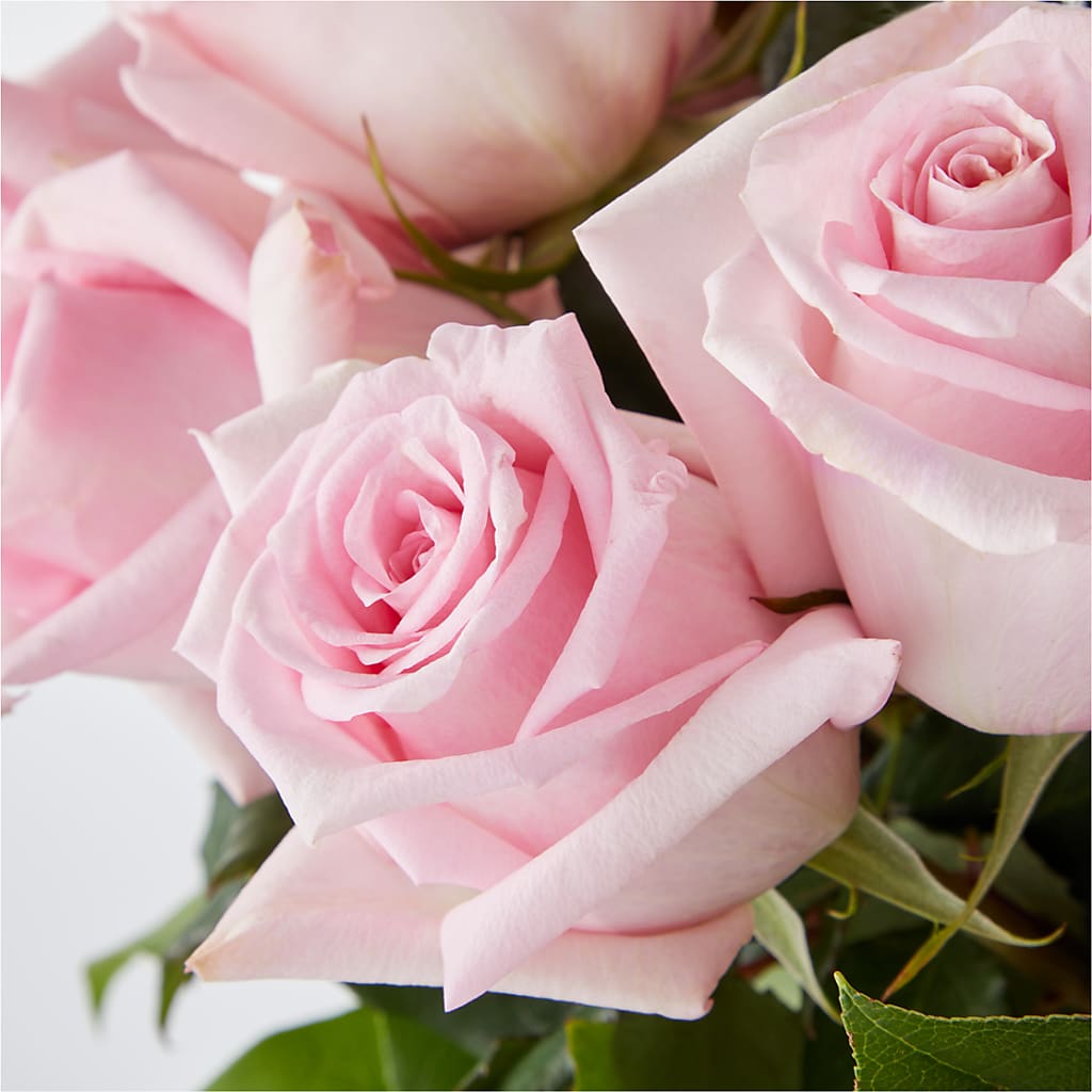 Picture Perfect Pink Rose Bouquet –  Moonlight Floral, Minneapolis MN