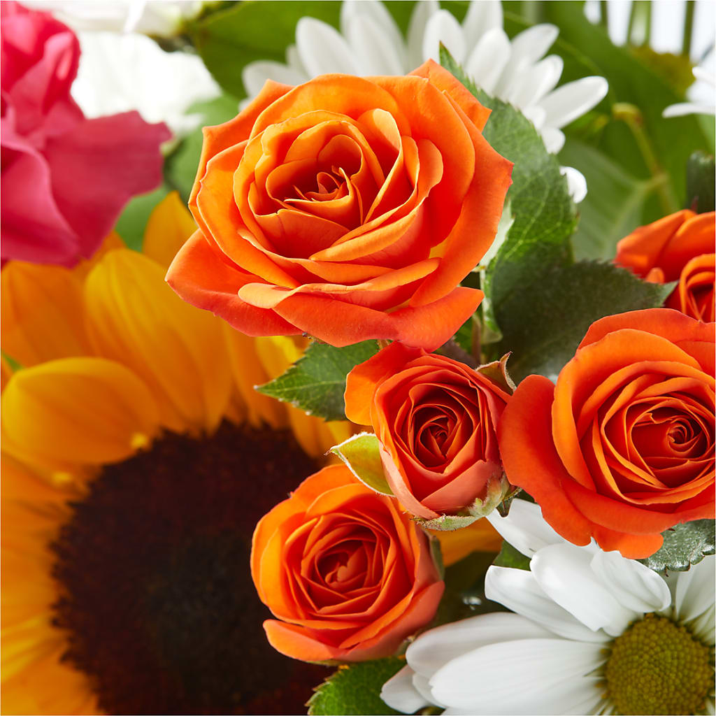 Sun-drenched Blooms Bouquet –  Moonlight Floral, Minneapolis MN