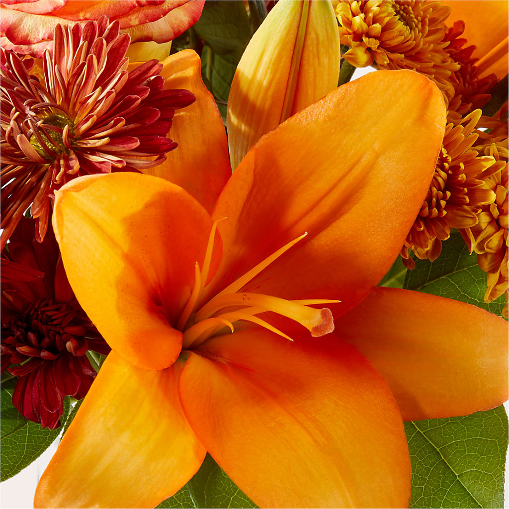 Autumnal Aroma Bouquet –  Moonlight Floral, Minneapolis MN