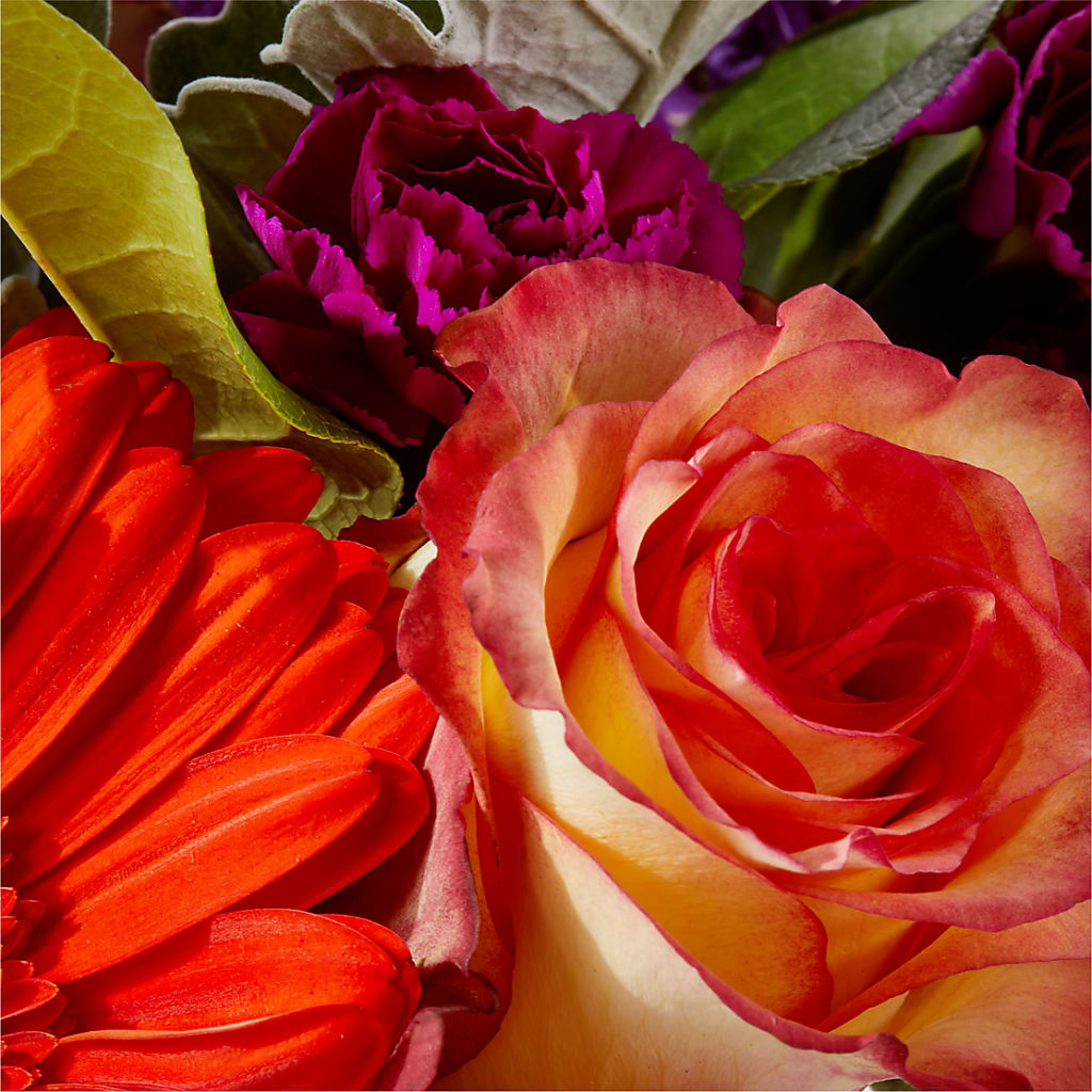 Sangria Bouquet –  Moonlight Floral, Minneapolis MN
