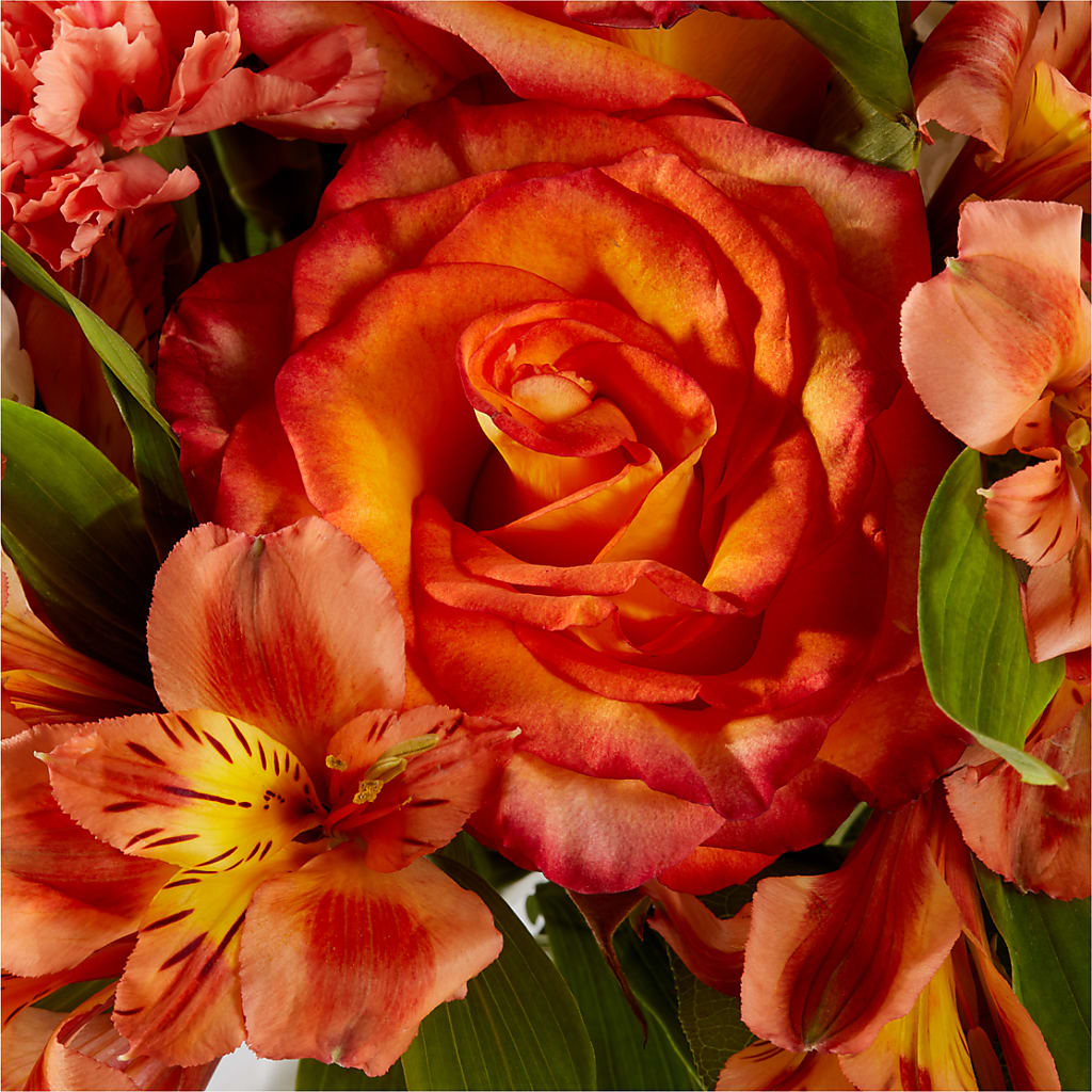 Apricot Glow Bouquet –  Moonlight Floral, Minneapolis MN