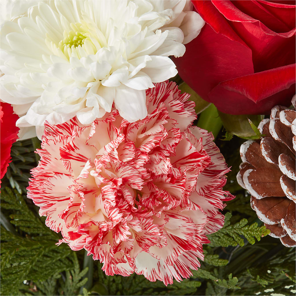 Candy Cane Lane Bouquet –  Moonlight Floral, Minneapolis MN