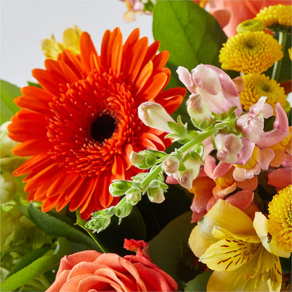 Autumn Sunshine Bouquet –  Moonlight Floral, Minneapolis MN