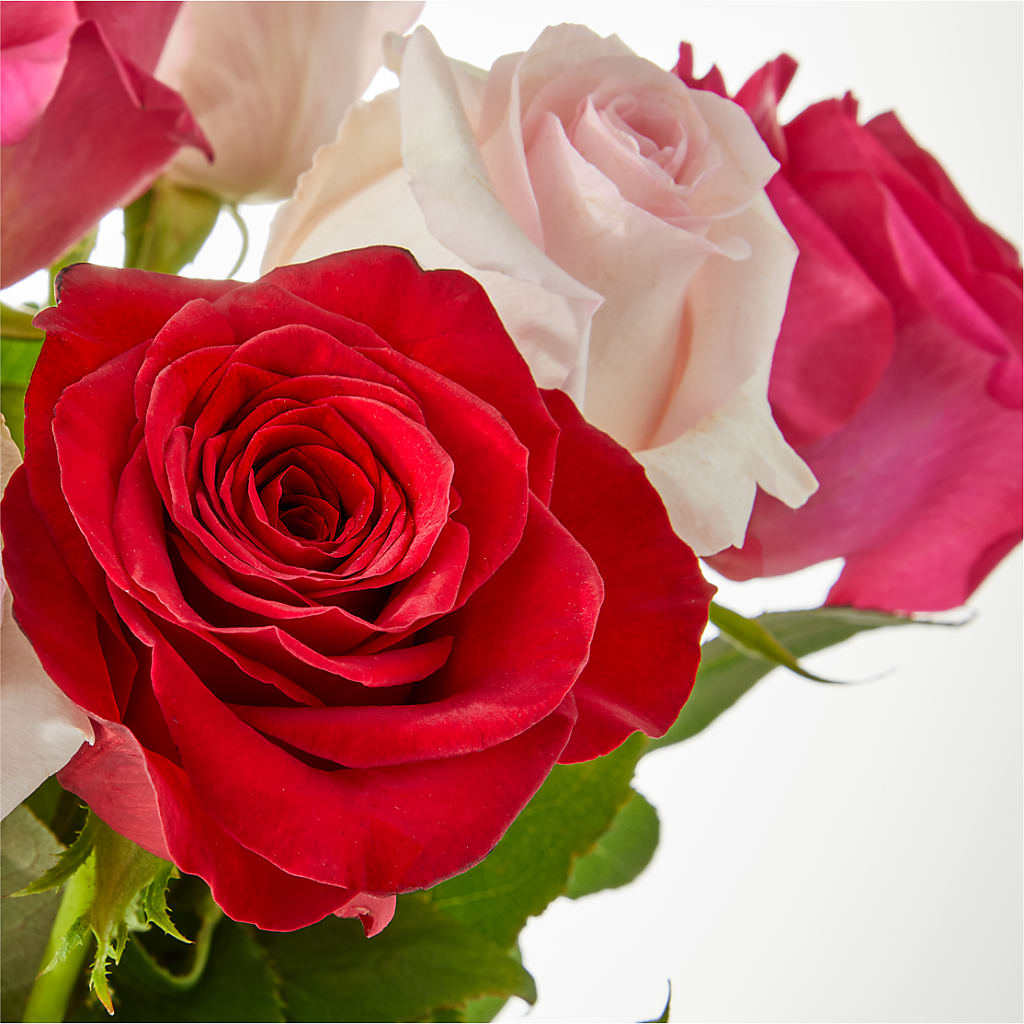Charming Rose Bouquet –  Moonlight Floral, Minneapolis MN