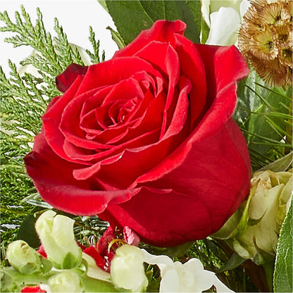 Deck the Halls Bouquet –  Moonlight Floral, Minneapolis MN