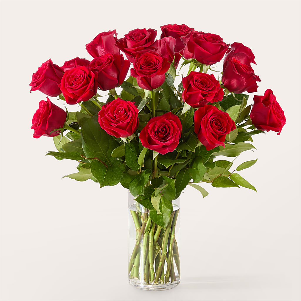 The One Red Rose Bouquet –  Moonlight Floral, Minneapolis MN