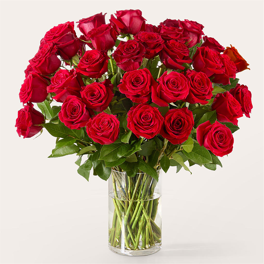 The One Red Rose Bouquet –  Moonlight Floral, Minneapolis MN