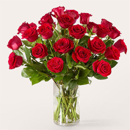 The One Red Rose Bouquet –  Moonlight Floral, Minneapolis MN
