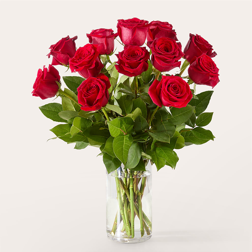 The One Red Rose Bouquet –  Moonlight Floral, Minneapolis MN